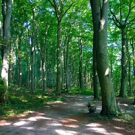 Haus Kap Arkona In - 02 Mit Kamin Und Terrasse Sellin (Rugen)